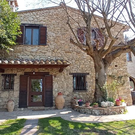 All'Ombra Di San Damiano อัสซิซี ภายนอก รูปภาพ