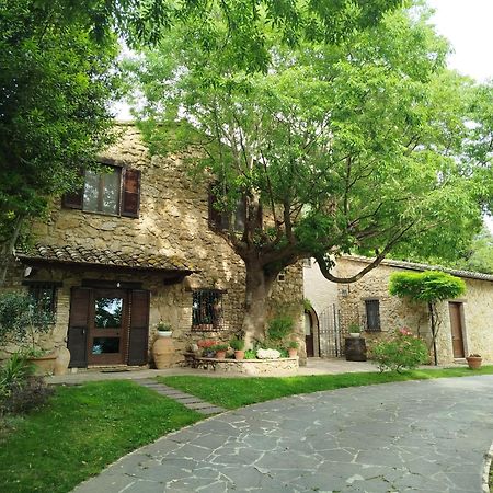 All'Ombra Di San Damiano อัสซิซี ภายนอก รูปภาพ