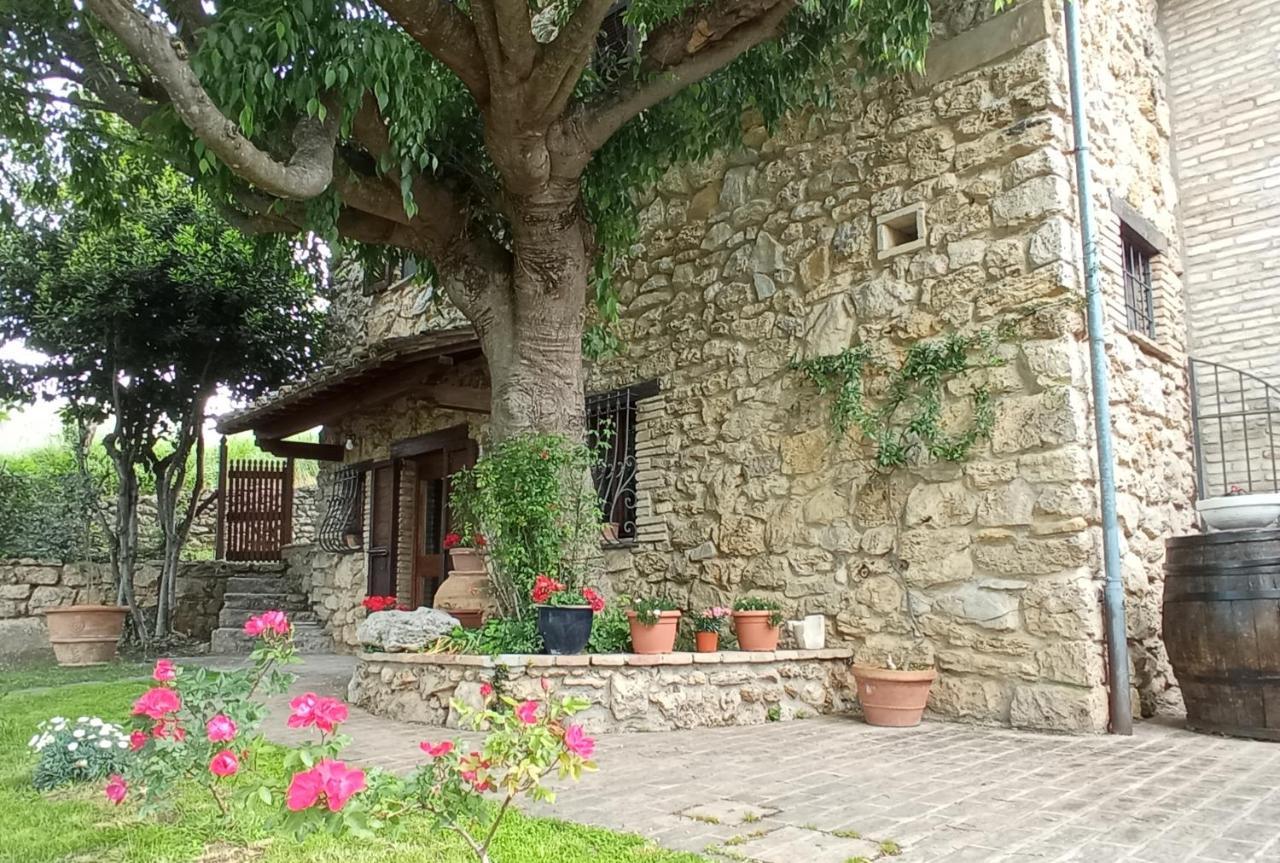 All'Ombra Di San Damiano อัสซิซี ภายนอก รูปภาพ