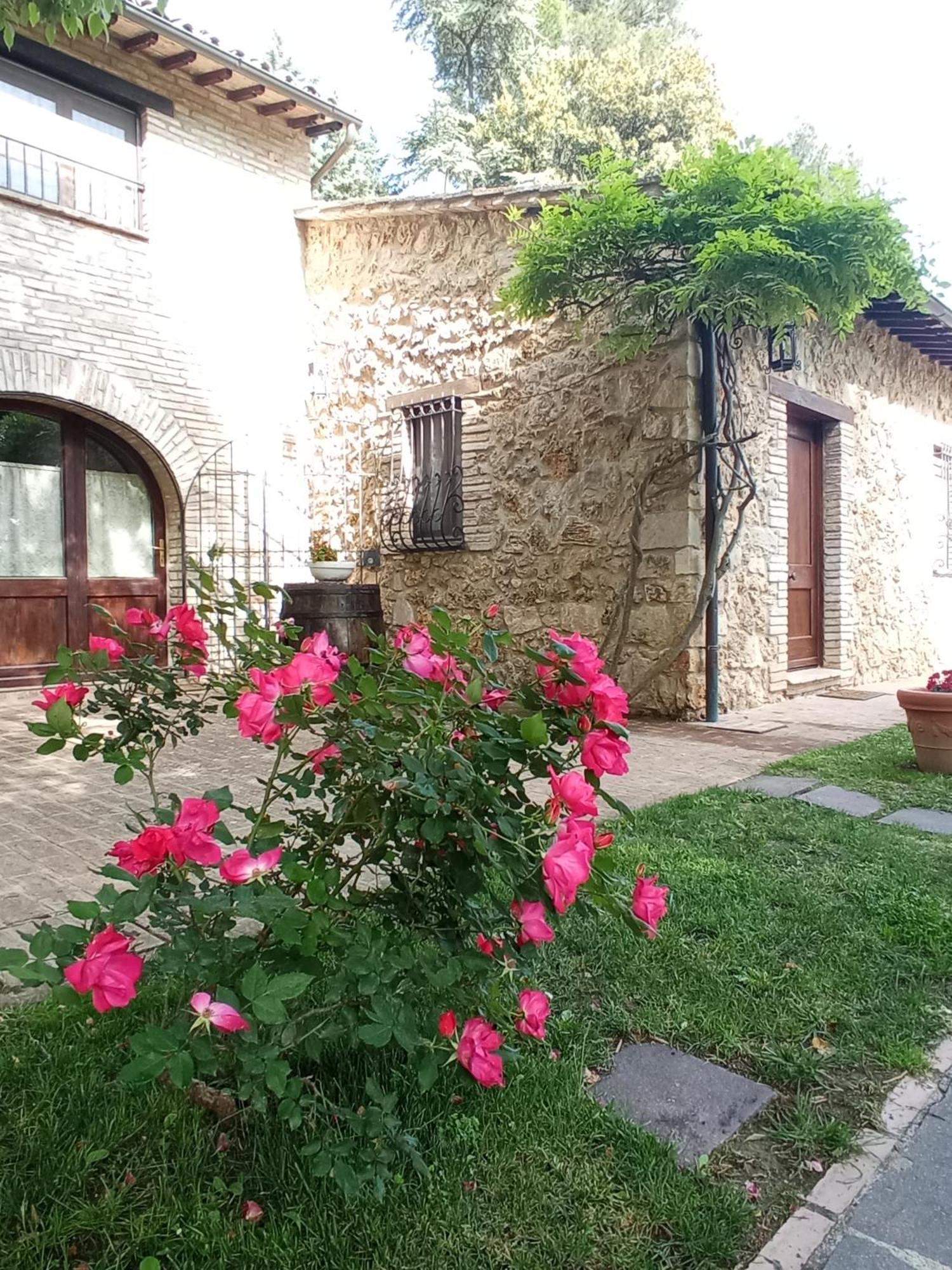 All'Ombra Di San Damiano อัสซิซี ภายนอก รูปภาพ