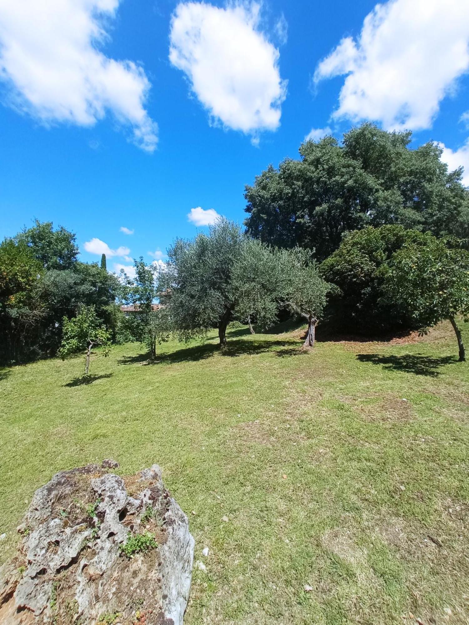 All'Ombra Di San Damiano อัสซิซี ภายนอก รูปภาพ