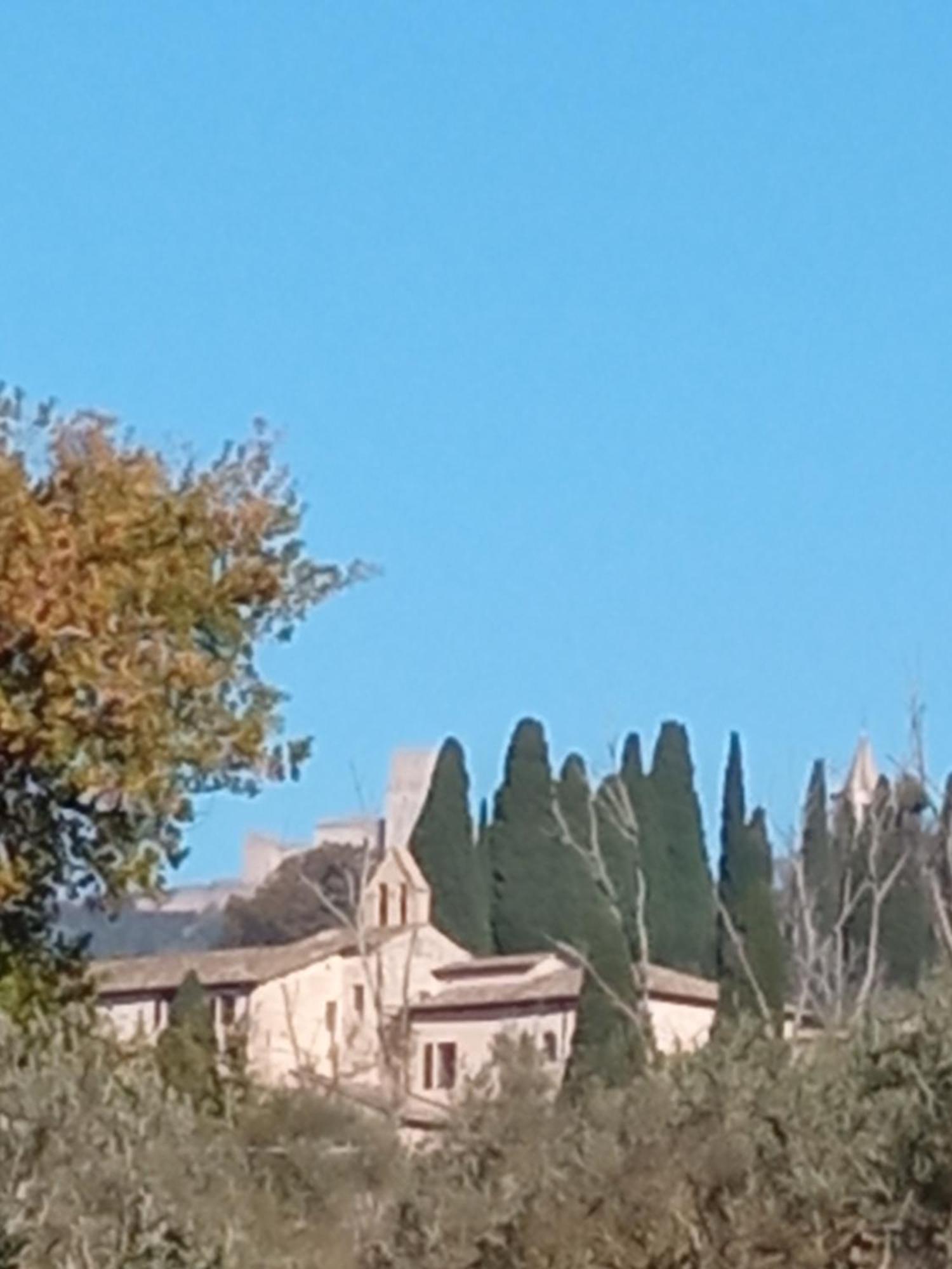 All'Ombra Di San Damiano อัสซิซี ภายนอก รูปภาพ